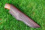 ar37-01